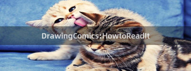 新新漫画免费下载：DrawingComics:HowtoReadIt