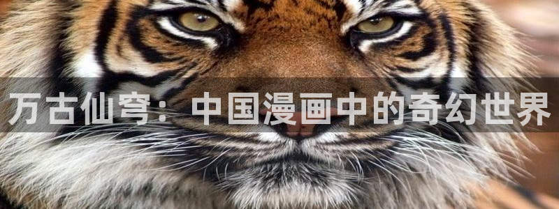 新新漫画旧版