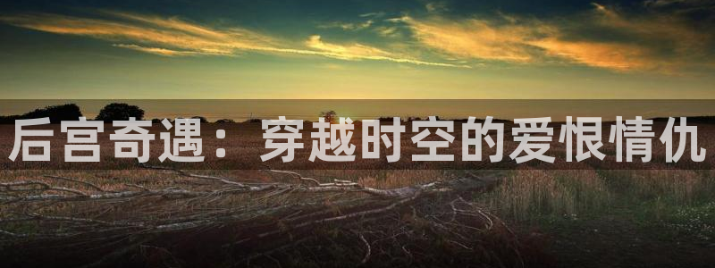 新新漫画怎么了：后宫奇遇：穿越时空的爱恨情仇