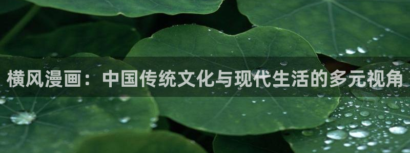 新新漫画免费阅读：横风漫画：中国传统文化与现代生活的多元视角