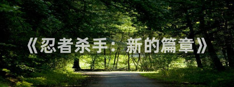 新新漫画官网 漫画：《忍者杀手：新的篇章》