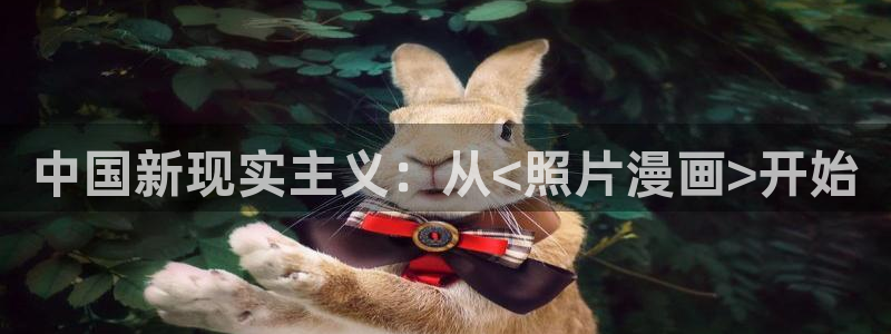 新新漫画在线看：中国新现实主义：从<照片漫画>开始