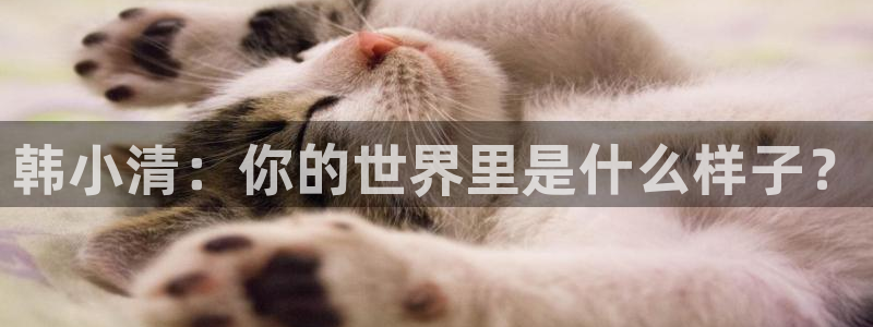 新新漫画官网 漫画：韩小清：你的世界里是什么样子？