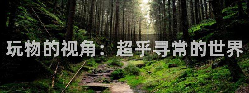 恋爱棱镜新新漫画：玩物的视角：超乎寻常的世界