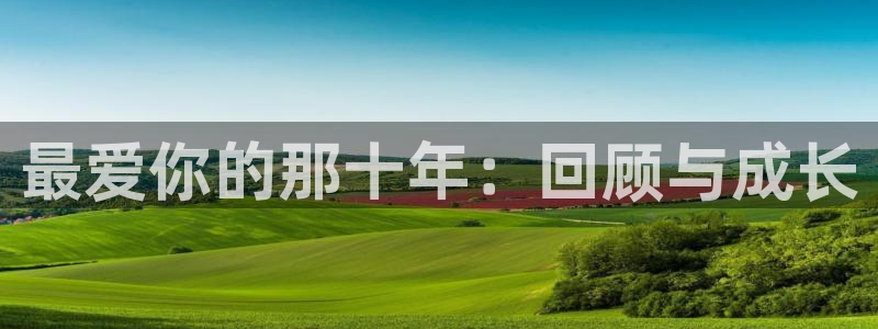 新新漫画在线观看官网：最爱你的那十年：回顾与成长