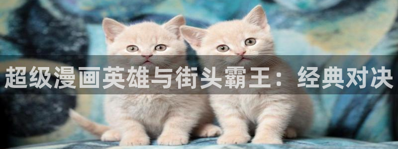 ,新新漫画：超级漫画英雄与街头霸王：经典对决