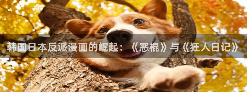 新新漫画app怎么样：韩国日本反派漫画的崛起：《恶棍》与《狂人日记》