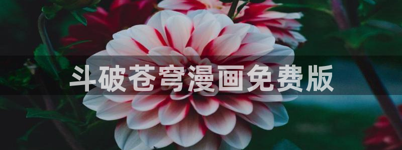 在线漫画新新