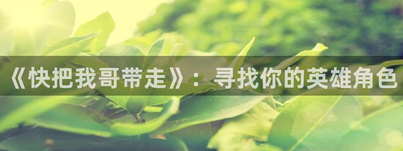 新新漫画鸣鸟不飞：《快把我哥带走》：寻找你的英雄角色