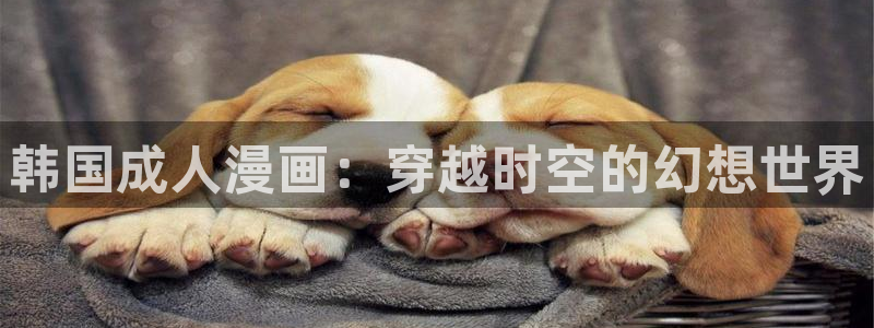 新新漫画官网版：韩国成人漫画：穿越时空的幻想世界