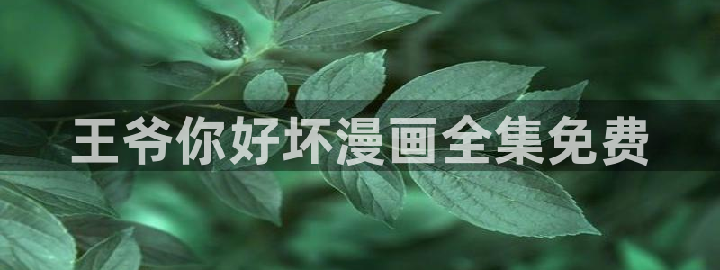 新新漫画 77mh：王爷你好坏漫画全集免费