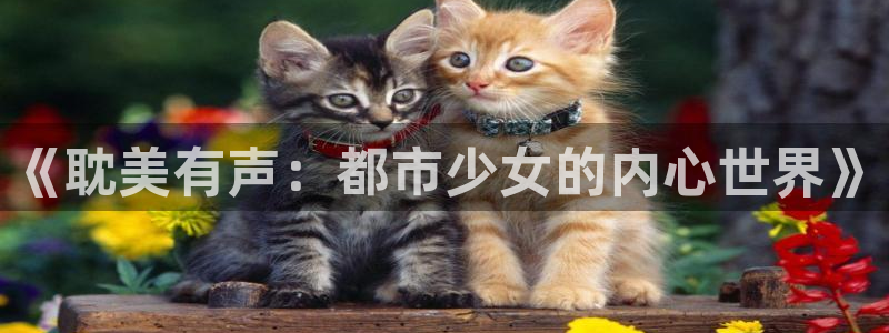 新新漫画官网网页版：《耽美有声：都市少女的内心世界》
