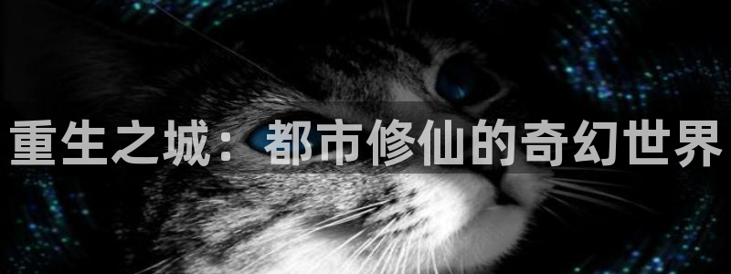 新新漫画官网版