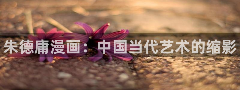 新新漫画无删减下载：朱德庸漫画：中国当代艺术的缩影